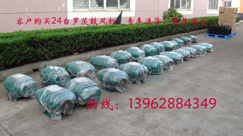 3L80羅茨鼓風機殼體