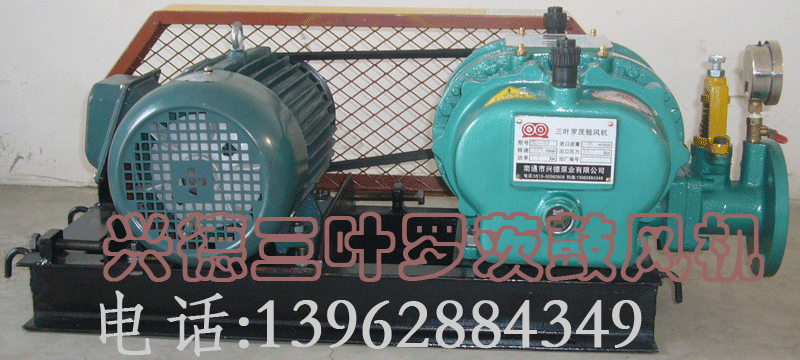 3L65羅茨鼓風(fēng)機(jī)